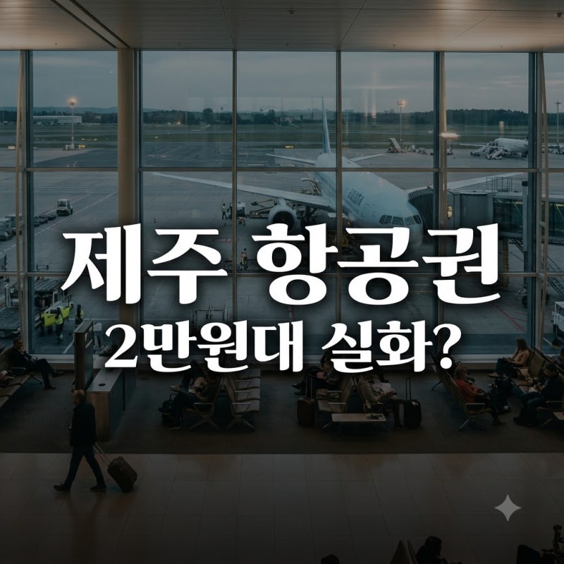 Daegu-Jeju Roundtrip Flights from 20,000 KRW? 3 Things to Check Before Booking