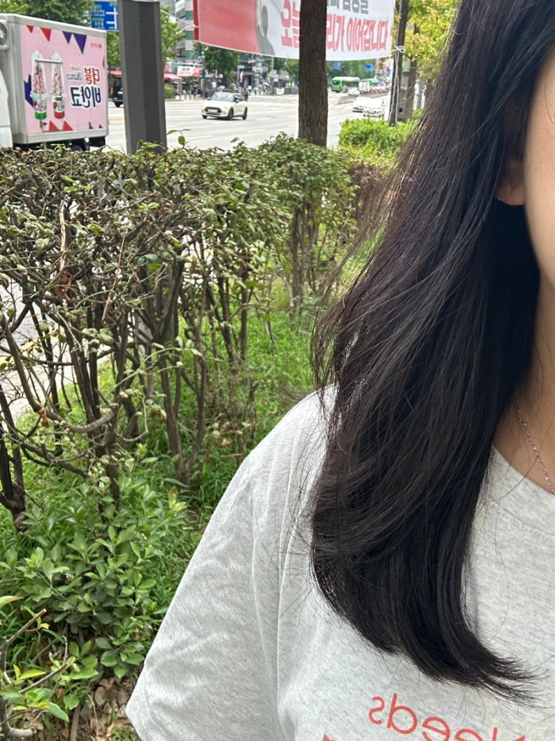 올라플렉스 3, 0 내돈내산 손상모 사용 후기