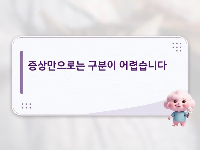 나만 불안했던 난소자궁 혹 구분, 초음파 판독 기준으로 이해하는 핵심만 짚어드려요