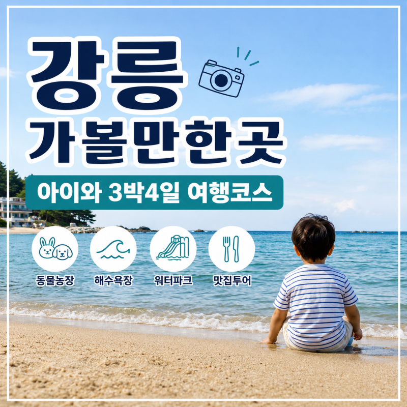 강릉 가볼만한곳 아이와 3박4일 여행코스, 평창까지 직접 다녀온 BEST 10