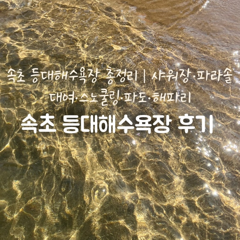 속초 등대해수욕장 총정리｜주차·개장기간·샤워장·파라솔 대여·스노쿨링·파도·해파리