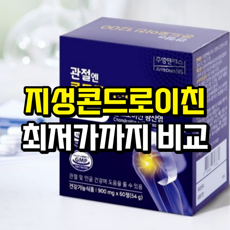 지성콘드로이친 1200MG 성분부터 최저가까지, 고르기 전 확인한 것