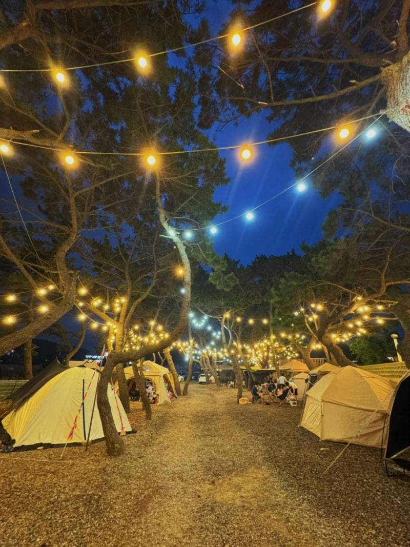 Incheon Eulwangri Salt Campsite B14 Mizcam 1-Night Review | Recommended Spot! Camping Right in Front of Wangsan Beach
