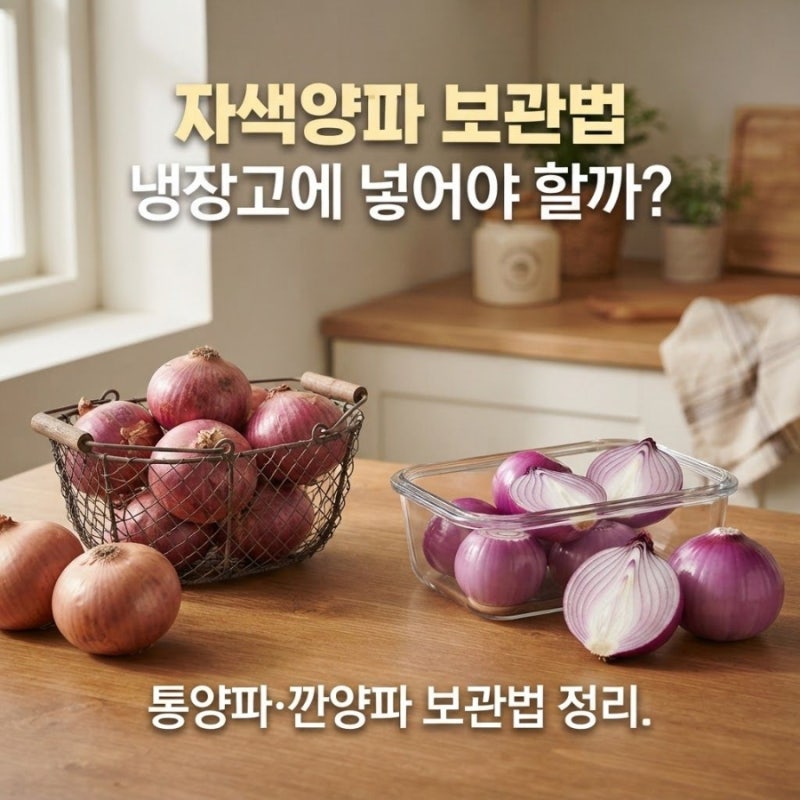 자색양파 보관법, 냉장고에 어떻게 넣어야 오래갈까?