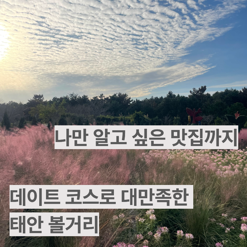讓約會行程大滿足的泰安活動。還有我不想告訴別人的美食餐廳