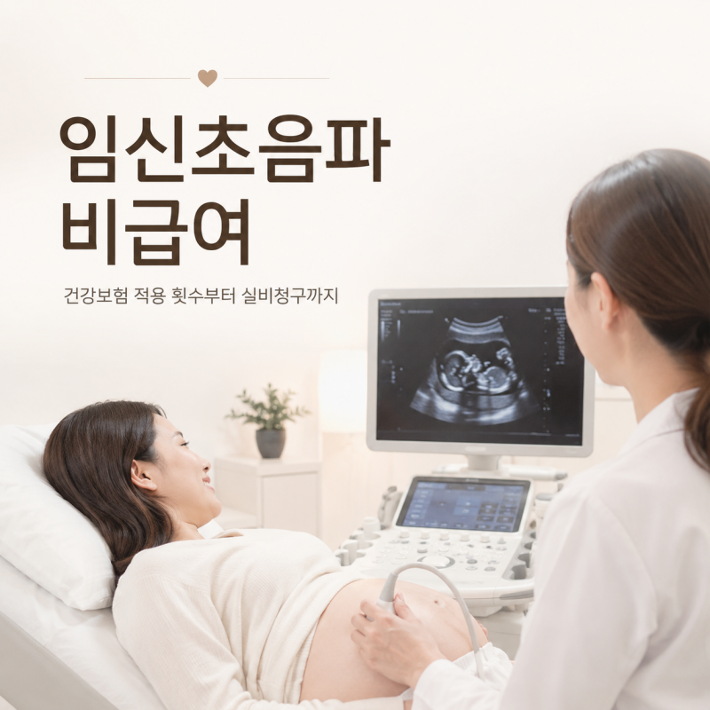 임신초음파 비급여 기준 총정리 건강보험 적용 횟수부터 실비 청구까지