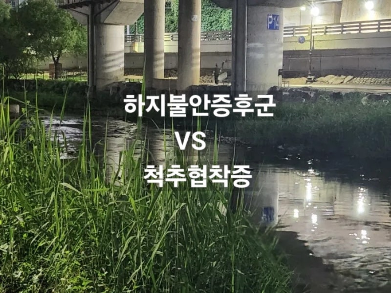 척추수술 환자가 하지불안장애 약을 먹고 있다면?