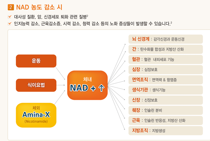 녹내장에 미토비타?! 비타민B3의 또다른 역할 / 열매약국