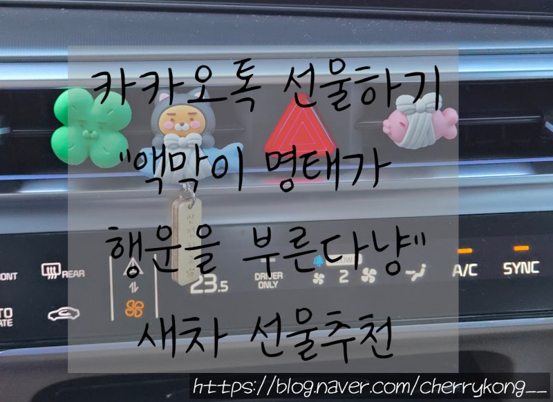 카카오 선물하기 차량용 명태 액막이 " 액막이 명태가 행운을 부른다냥 " 라이언 액막이 명태....