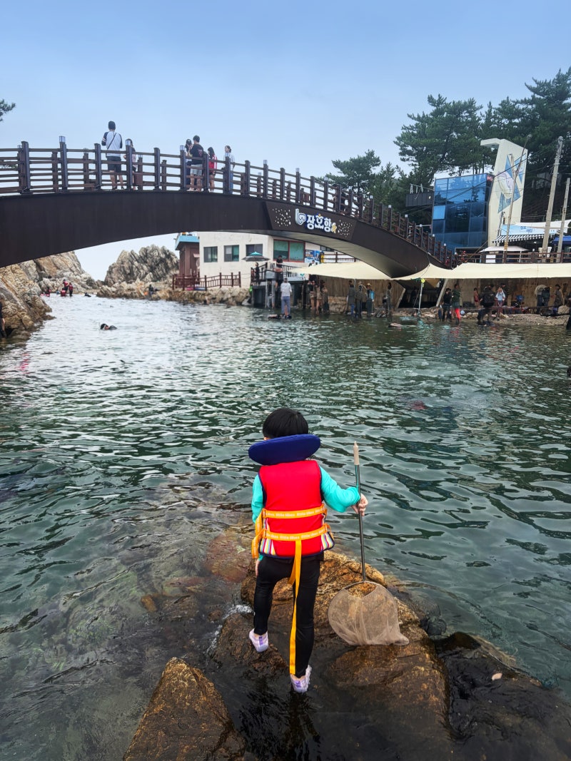 강원도 삼척 2박3일 가족여행 장호항 스노쿨링 꿀팁 장호해수욕장 후기