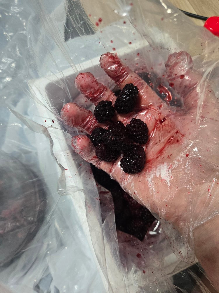 직접 담근 복분자주 후기 (3개월 숙성)