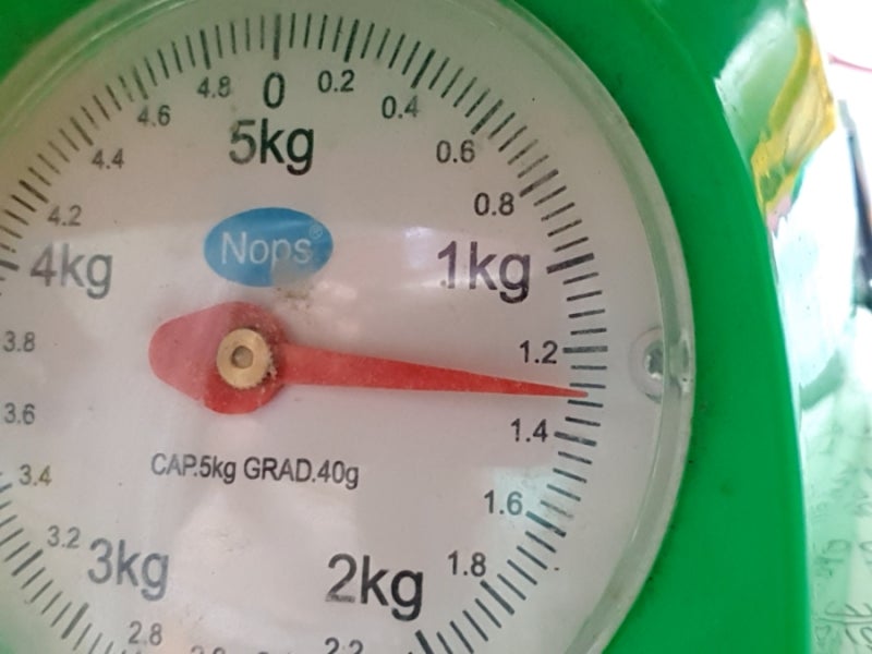 표고버섯 파지 1kg 볶음밥