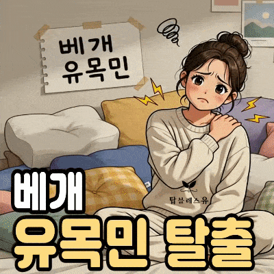 경추베개 고르는 법 슬립앤슬립 아이유 베개 퍼플에디션 실제후기