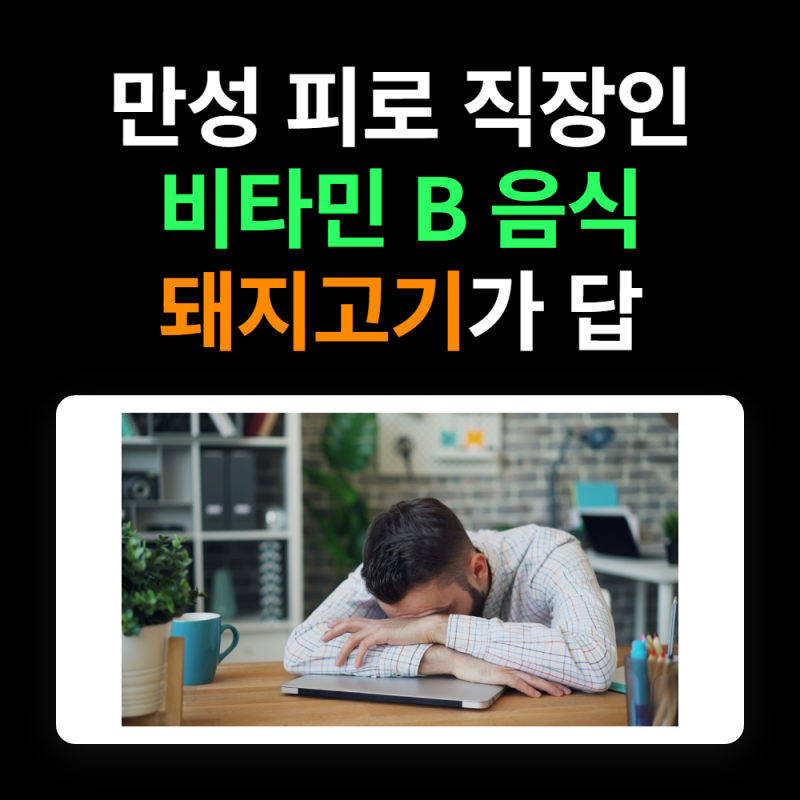 이거 먹고 피로 싹, 만성 피로 직장인 위한 비타민 B 음식 돼지고기 요리
