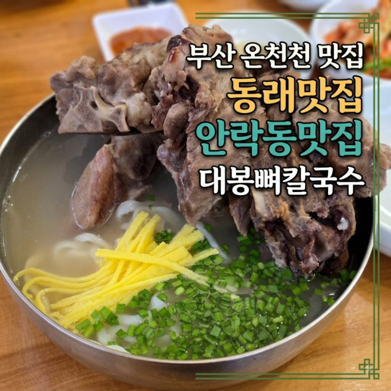 부산 온천천 찐맛집 대봉뼈칼국수 본점