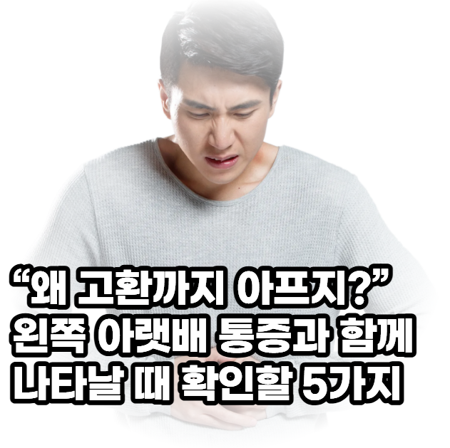 “왜 고환까지 아프지?” 왼쪽 아랫배 통증과 함께 나타날 때 확인할 5가지