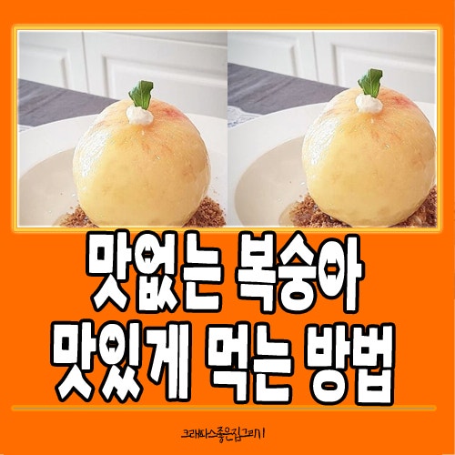 맛없는 복숭아 맛있게 먹는 법! 달지 않은 복숭아의 놀라운 변신