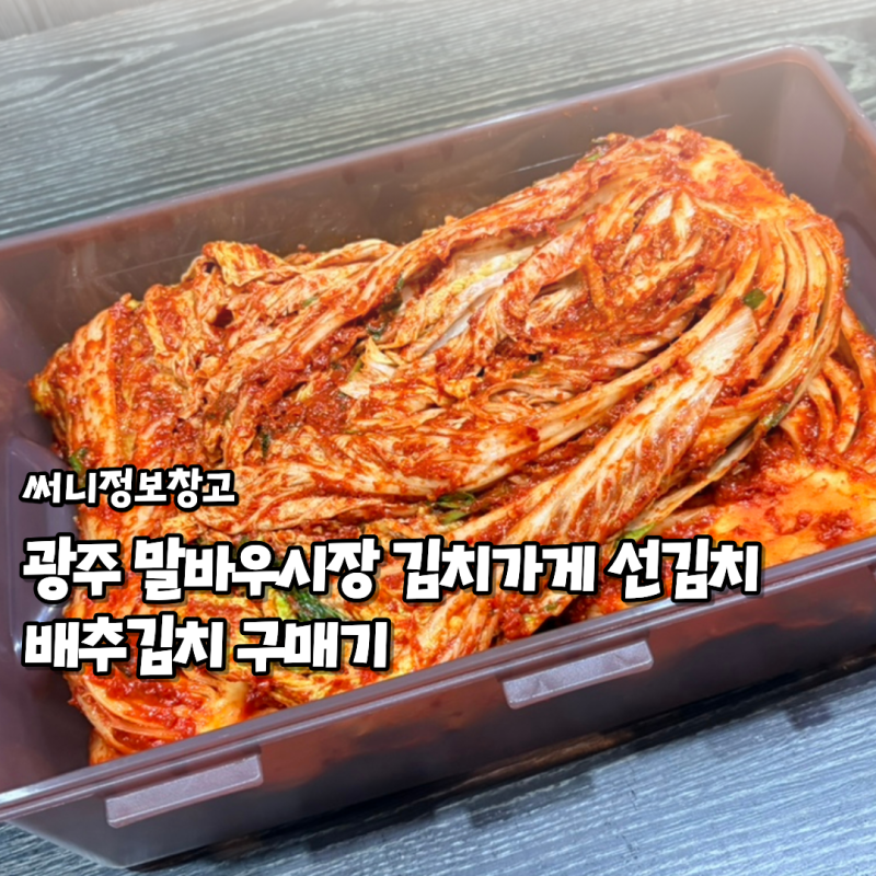 광주 말바우시장 김치가게 선김치 배추김치 구매기