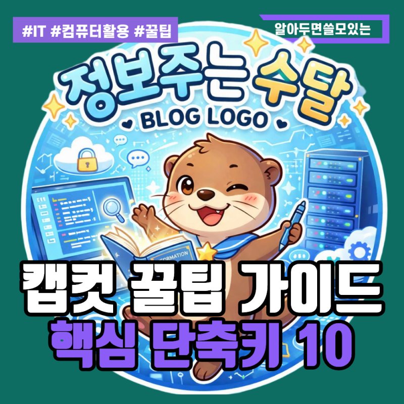 영상 편집 속도가 5배 빨라지는 캡컷 PC 필수 단축키 TOP 10 총정리(윈도우, MAC 포함)