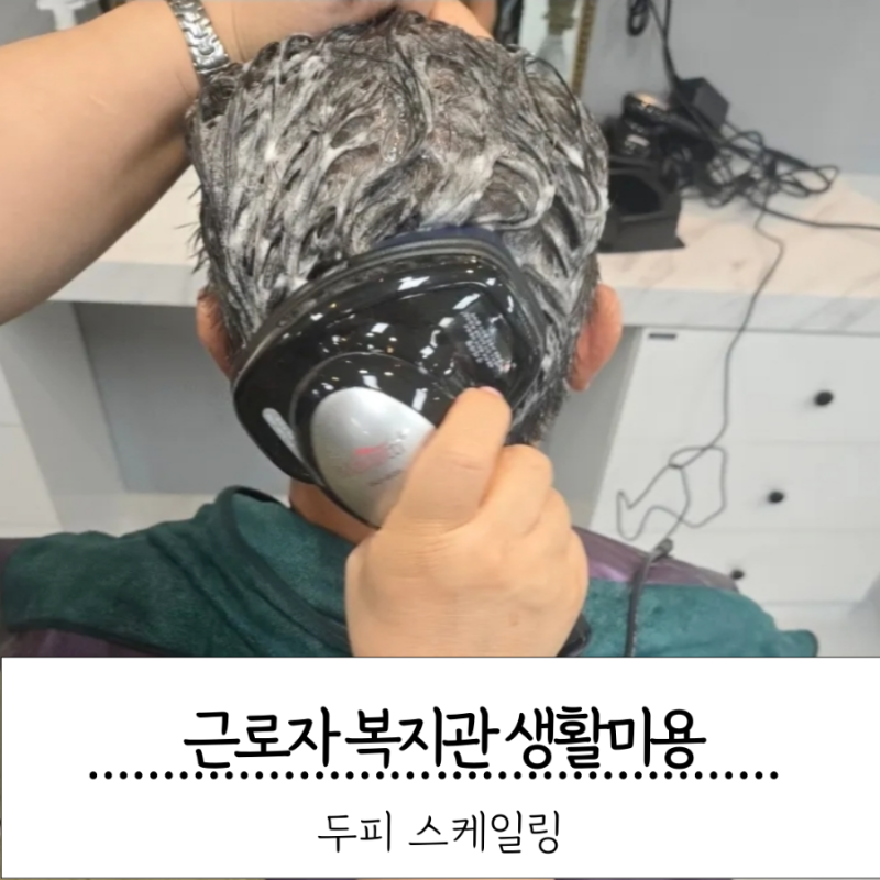 두피 묵은 때 싹 벗겨내는 두피스케일링 순서와 방법 (feat. 생활미용 종강 및 남자 커트 실습)