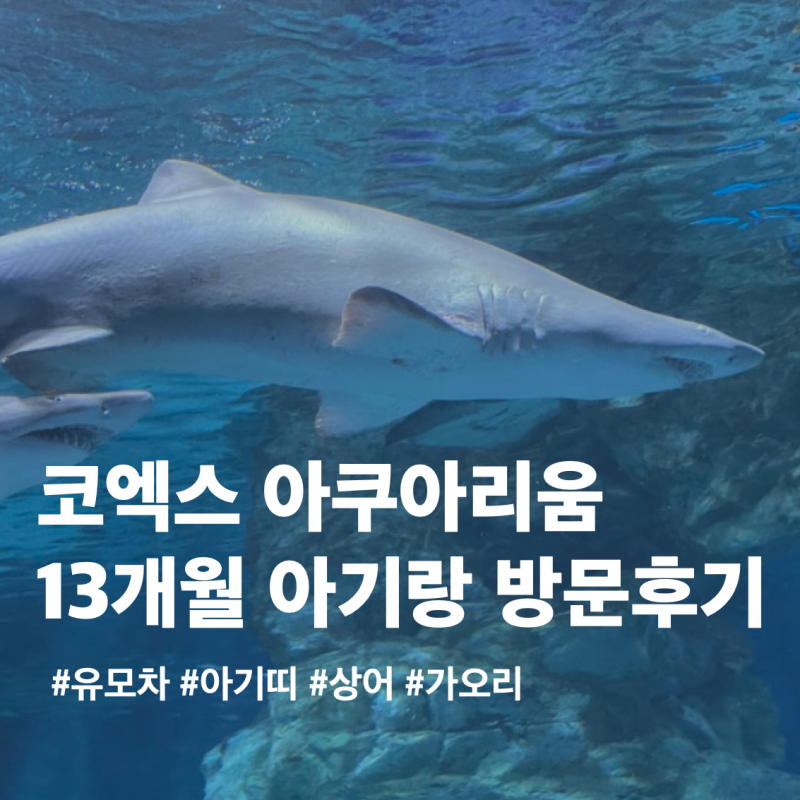 코엑스 아쿠아리움 아기랑 주말 방문 후기 | 13개월 아기 유모차 관람