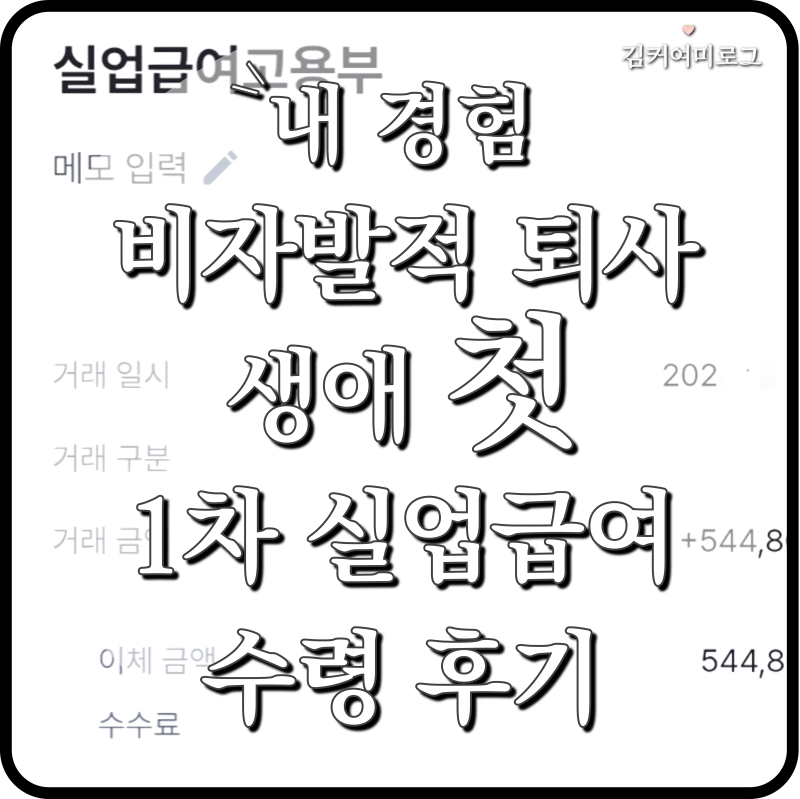 내 경험 40대 비자발적 퇴사 _ 1차 실업급여 집체교육 후 다음 날 바로 구직급여 8일분 544,800원....