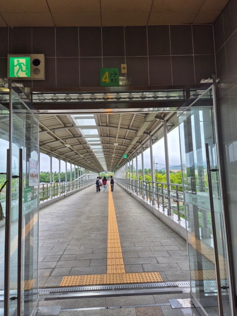 How to Get to Yongin Everland from Daejeon by Public Transportation (Giheung Station - Everline)