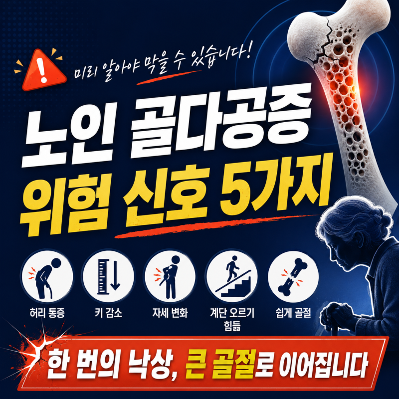 노인 골다공증위험 신호 5가지 - 넘어지기 전에 반드시 잡아야 합니다