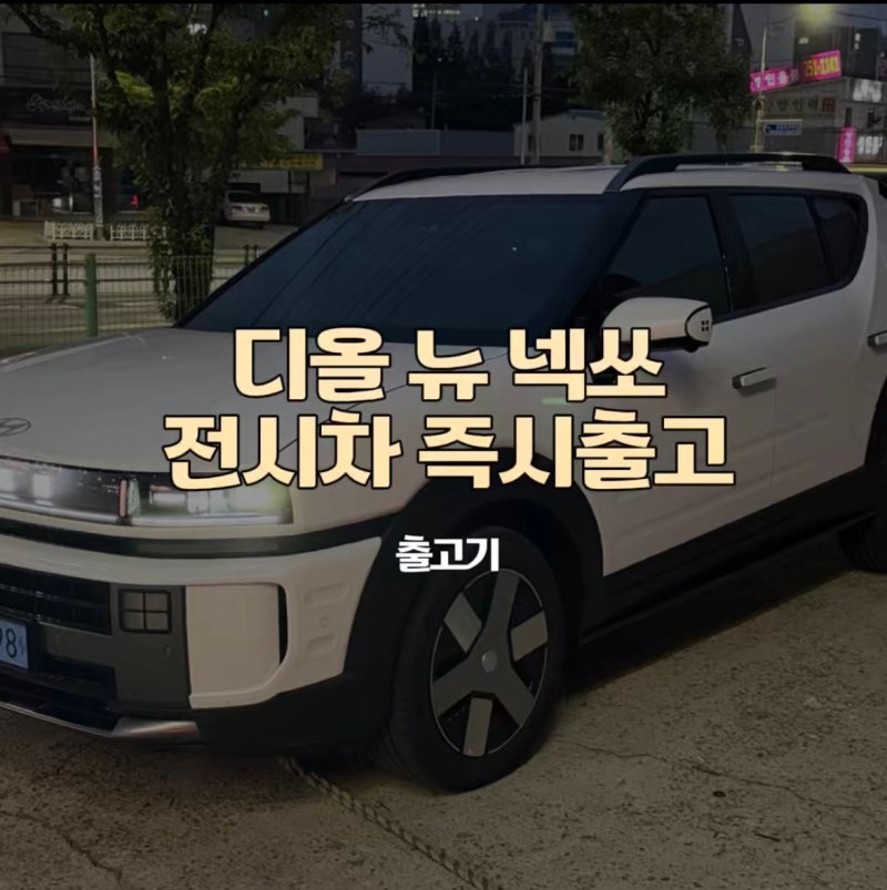 넥쏘 월 20만원대로 타는 법. 출고 솔직후기 / 수원시 보조금 3,250만원 + 월 20만원대 부담Down ....