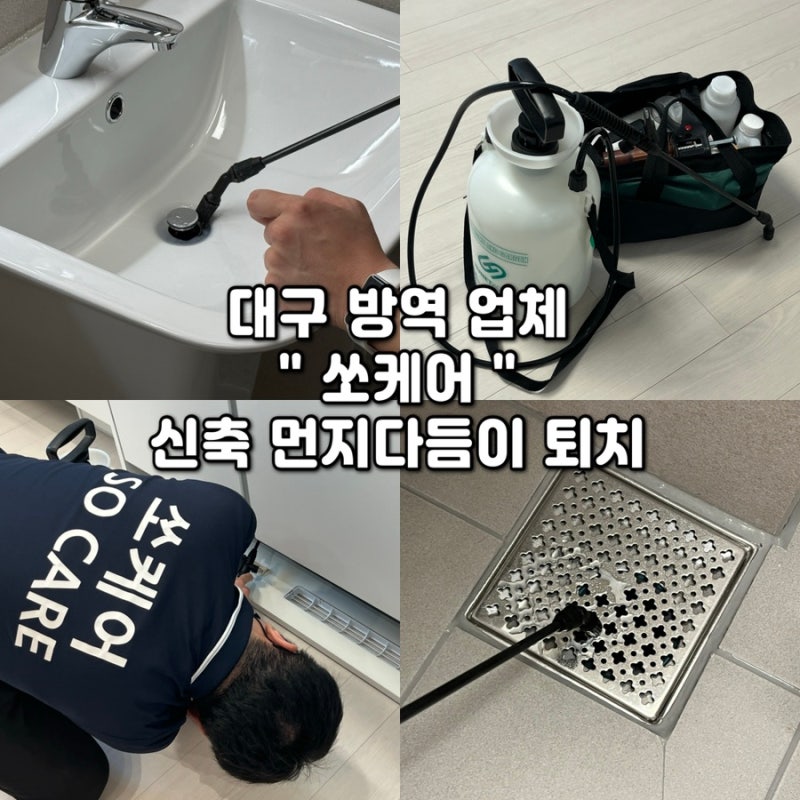 대구방역업체 [쏘케어] 신축아파트 먼지다듬이 방역 | 바퀴벌레 퇴치 | 해충 방역