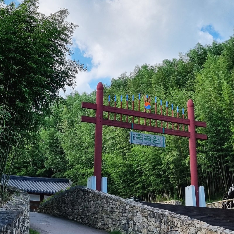 담양 죽녹원 입장료 주차장 꿀팁 국수거리부터 대숲 산책 후기