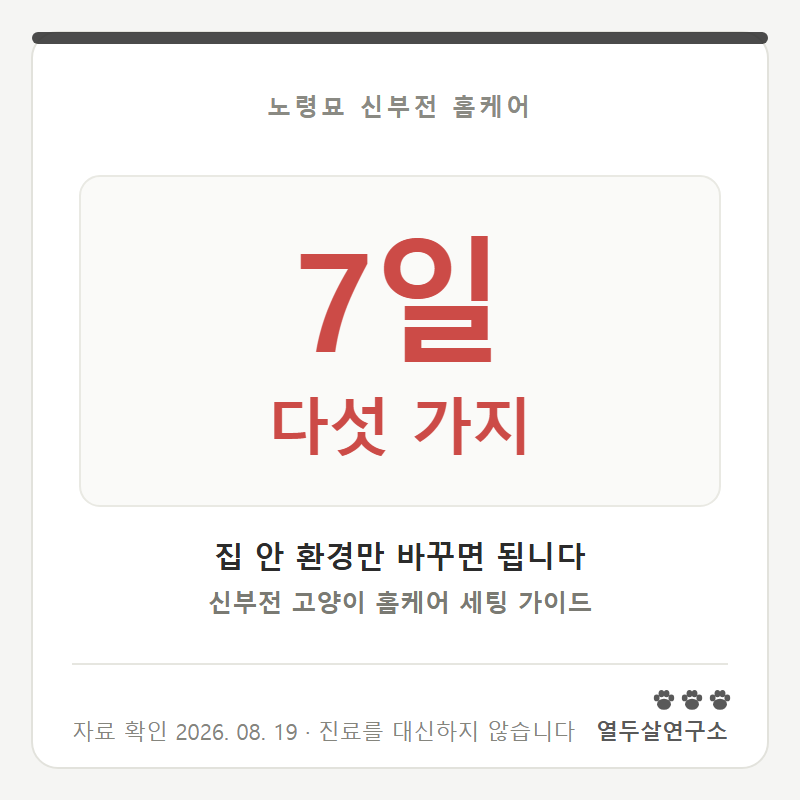 신부전 고양이 집을 이렇게 바꿨더니, 달라진 건 다섯 가지였습니다.