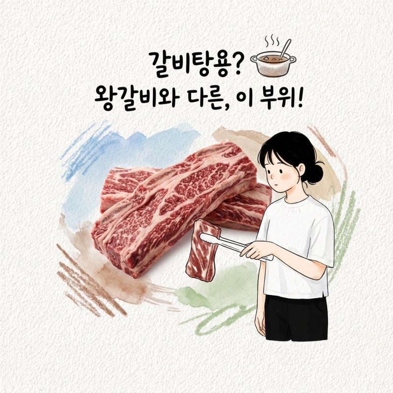 어떤 부위를 사야 하고 왕갈비와 뭐가 다른지 소갈비탕용 갈비