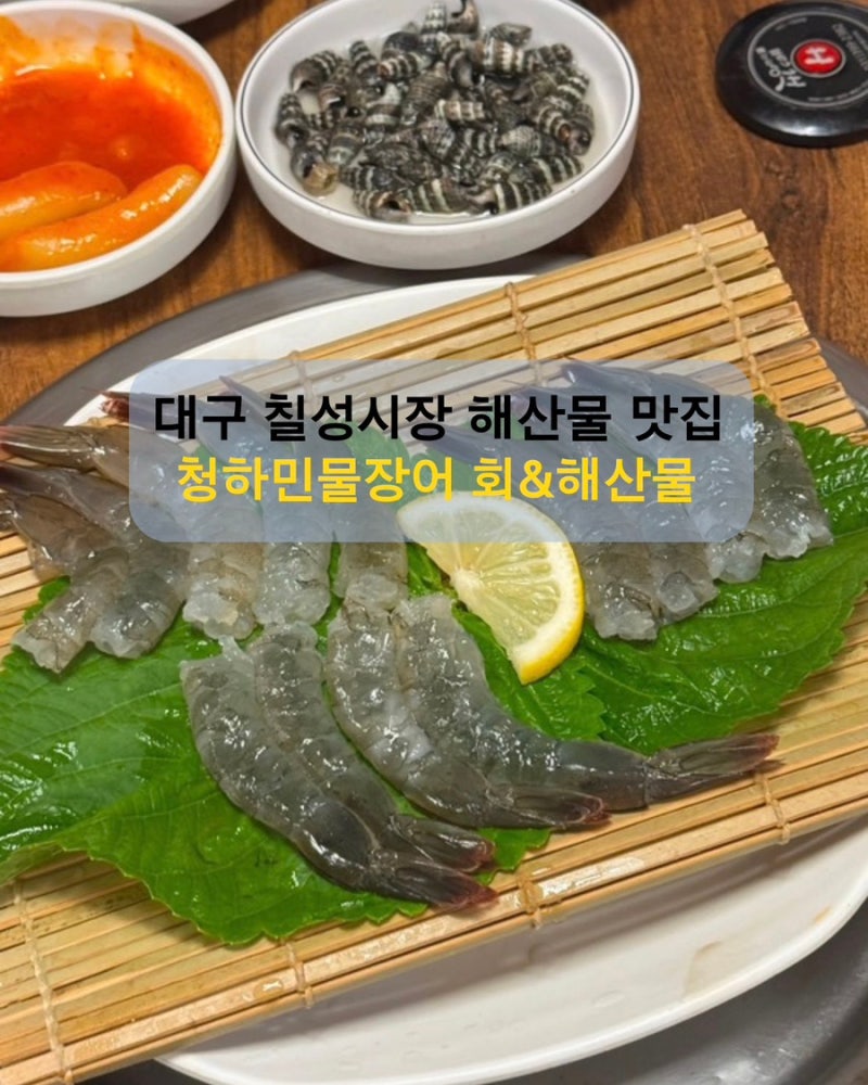 대구 칠성시장 맛집 청하민물장어｜생새우회부터 해산물까지 제대로 먹고 온 날