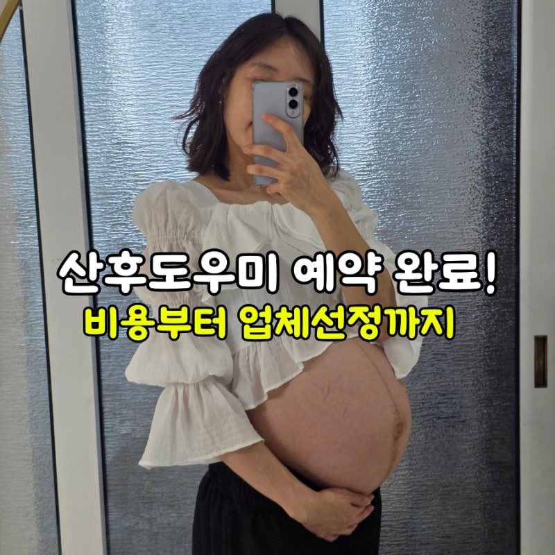 정부지원 산후도우미 비용 2026 이용기간 본인부담금 업체선정 후기