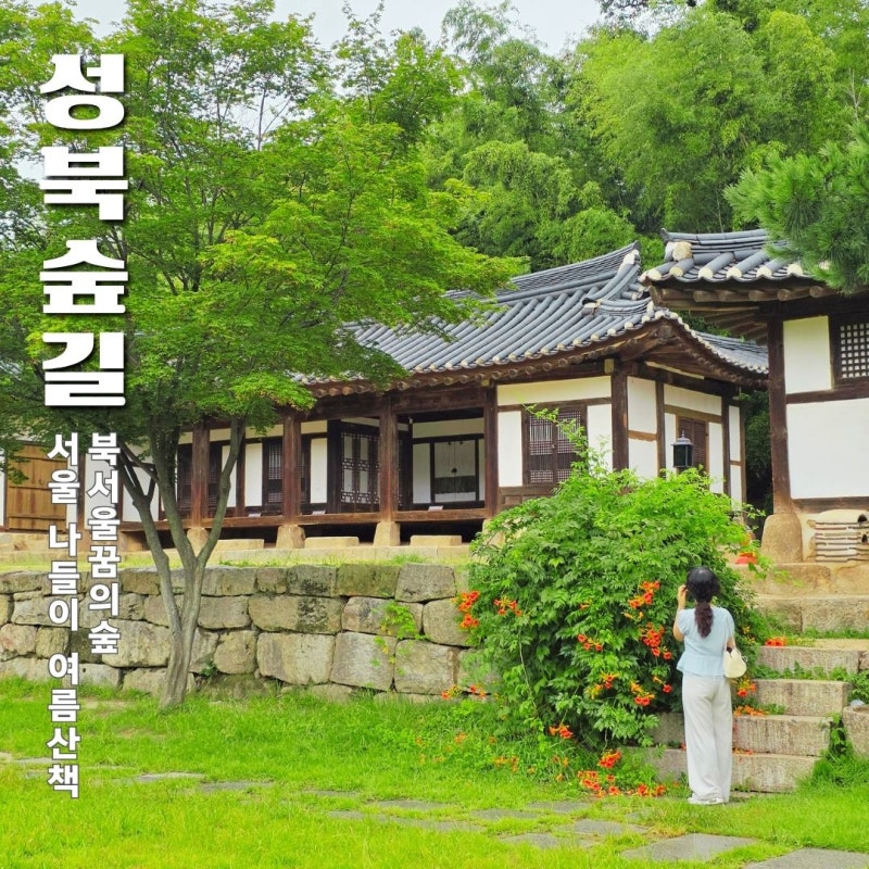 북서울꿈의숲, 어디부터 가야 할까? 전망대부터 물놀이·카페까지 강북구 여름 산책
