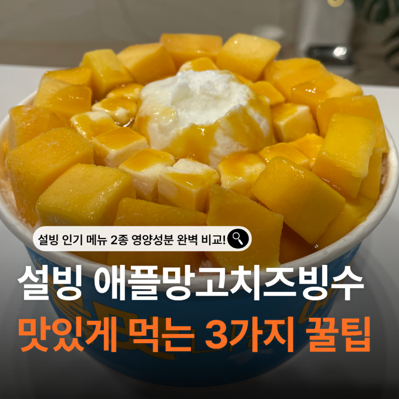 설빙 애플망고치즈설빙 칼로리 폭탄 피하고 맛있게 먹는 3가지 꿀팁