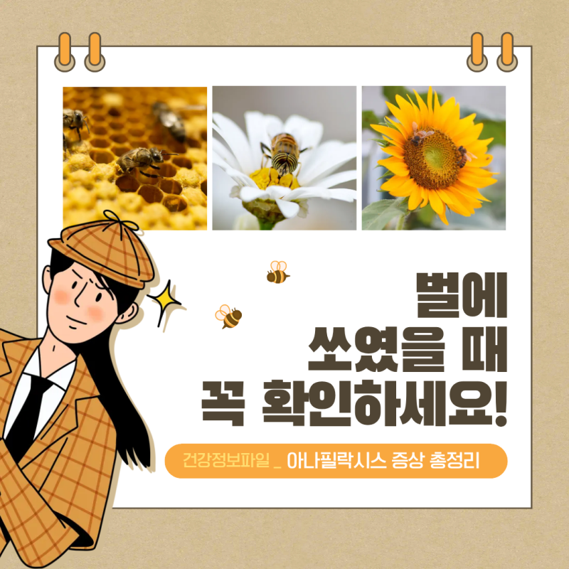 벌에 쏘였을 때 숨이 차다면? 아나필락시스 증상과 응급대처