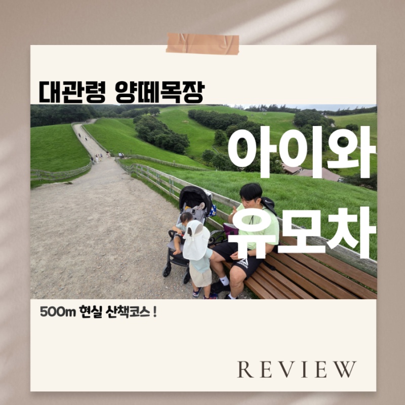 대관령 양떼목장 아이와 가볼만한곳｜유모차로 다녀온 500m 현실 산책코스