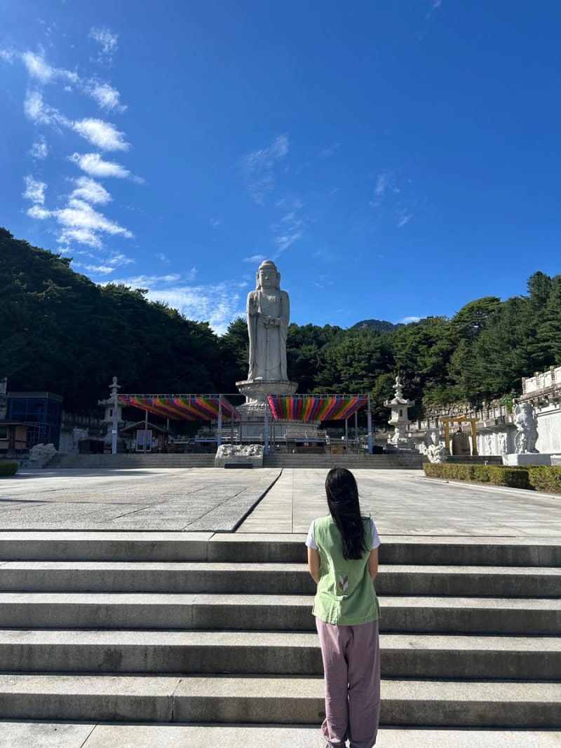 [대구] 동화사 템플스테이 혼자 다녀온 후기｜여자 혼자 휴식형 템플스테이 추천 #대구 #대구....