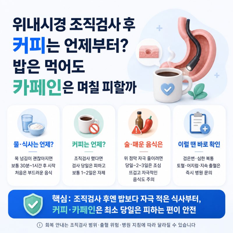위내시경 조직검사 후 커피, 밥은 먹어도 카페인은 며칠 피해야 할까?