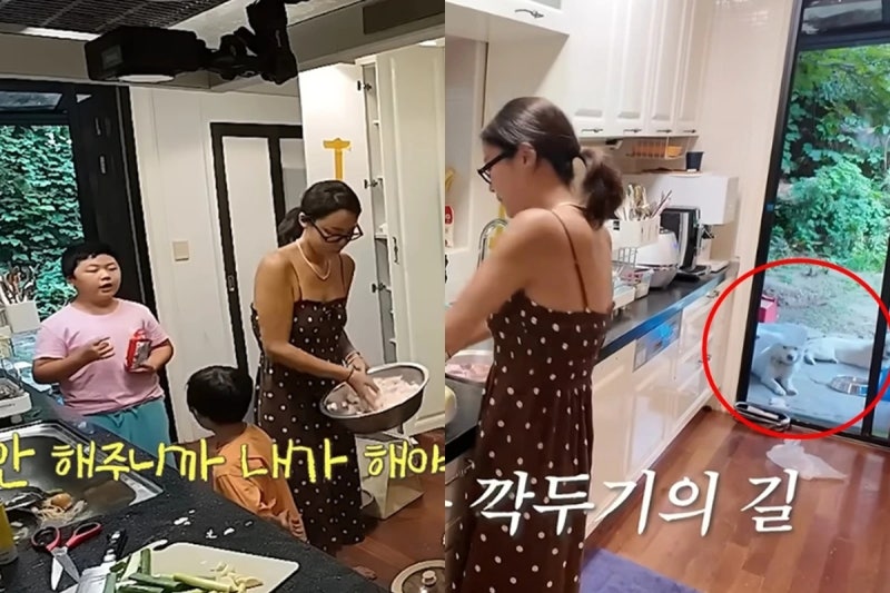 황정음 집 공개 논란 다시 나온 이유와 반응 포인트