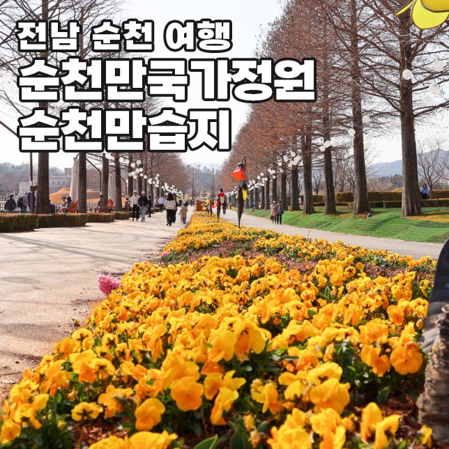순천만국가정원 순천만습지 스카이큐브 갈대열차 연결 코스 타는법 통합권 예매 입장료 튤....