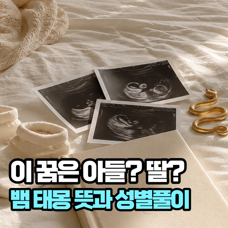 “꿈에 뱀이 나오면 무조건 태몽일까?” 뱀태몽 뜻과 아들 딸 성별 풀이