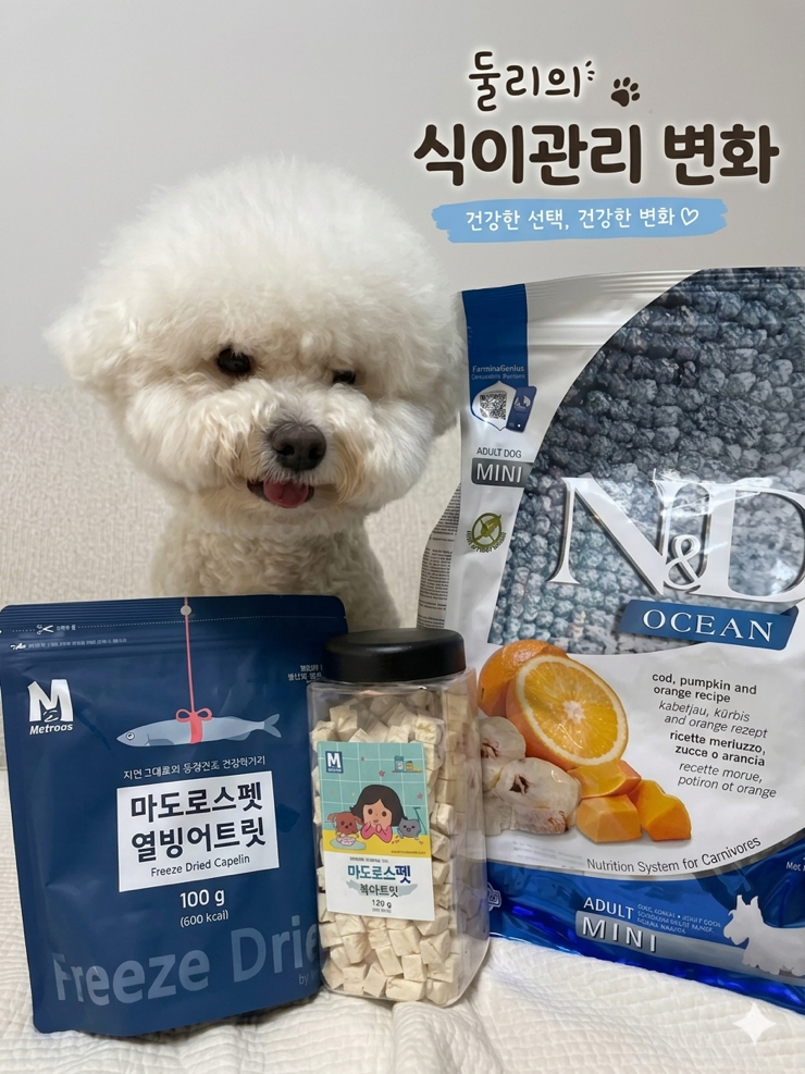 강아지 발사탕, 알레르기 때문에 바꾼 식단 (파미나 대구 사료와 생선 간식 후기)