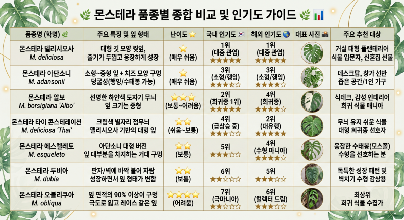 몬스테라 총정리 지갑 열기 5초 전! 초보 집사의 사심 가득 품종 탐색전