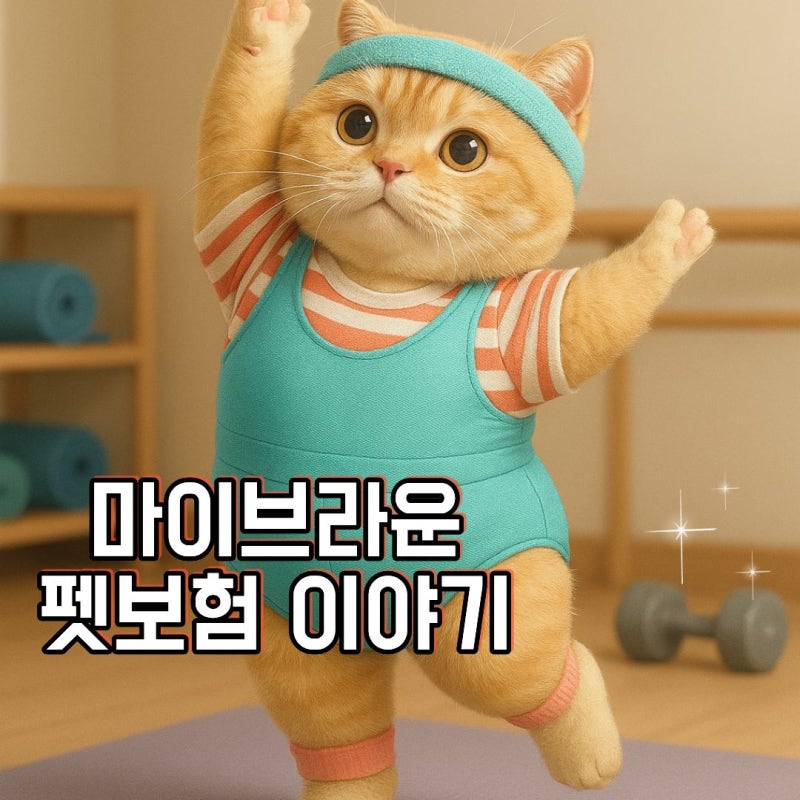마이브라운 가입 후 직접 찾아본 치과 치료 보장 후기