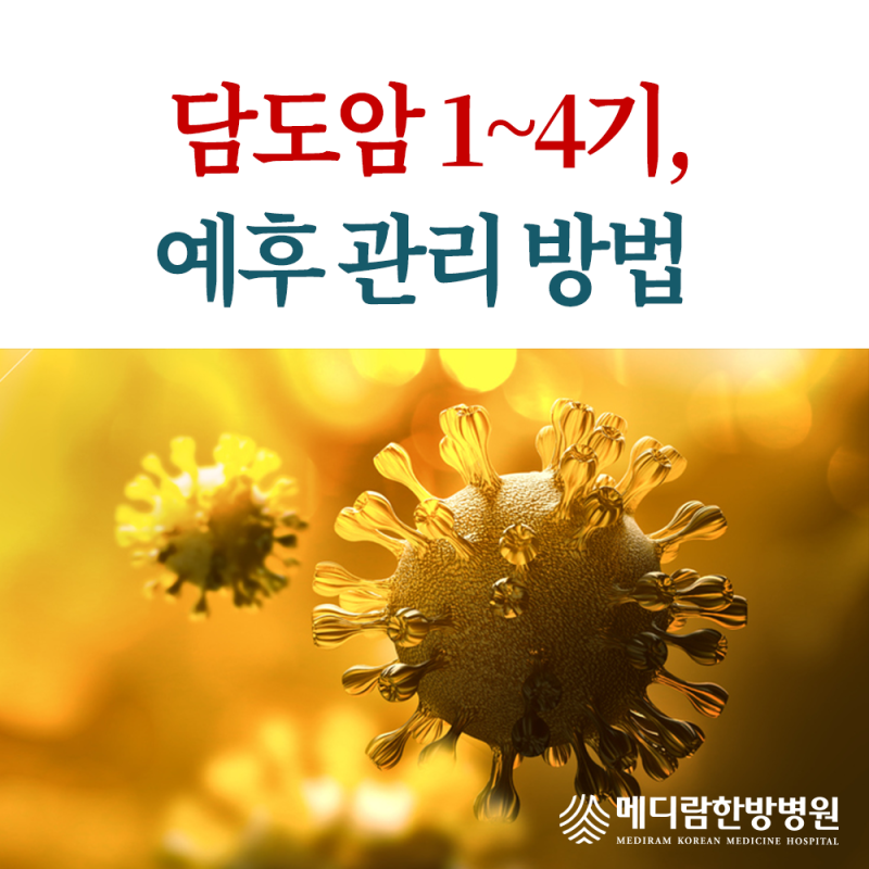 담도암 1기 2기 3기 4기, 생존율과 관리법