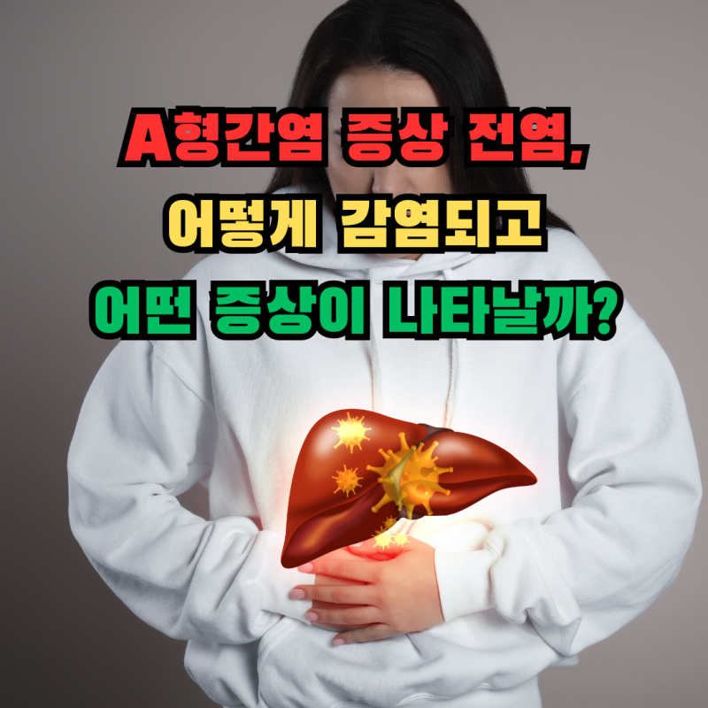 A형간염 증상 전염, 어떻게 감염되고 어떤 증상이 나타날까?
