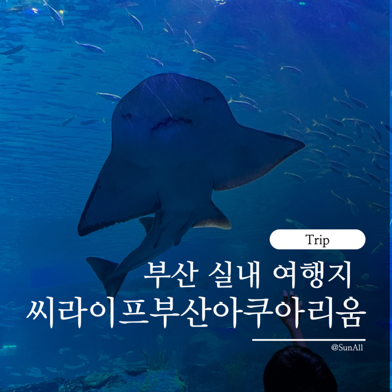 씨라이프부산아쿠아리움 부산 해운대 아쿠아리움 실내 아이랑 가볼만한곳
